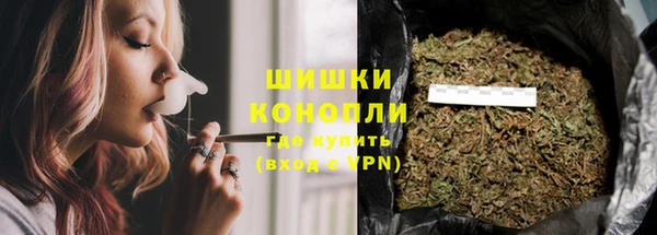 шишки Аркадак
