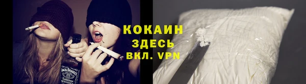 шишки Аркадак