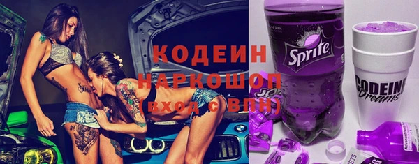 шишки Аркадак
