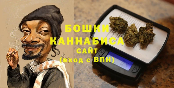 шишки Аркадак