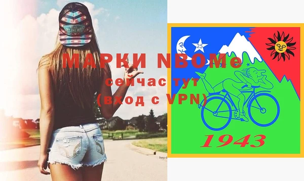 шишки Армянск