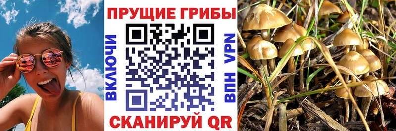 сайты даркнета официальный сайт  Ишимбай  Галлюциногенные грибы прущие грибы 